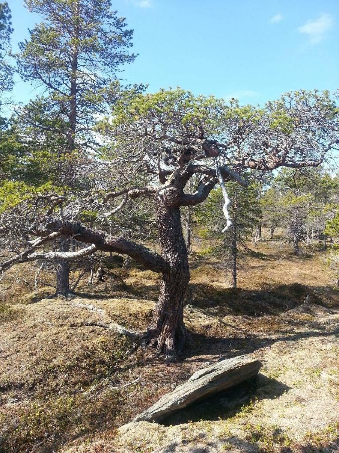 Holiday home Malangen