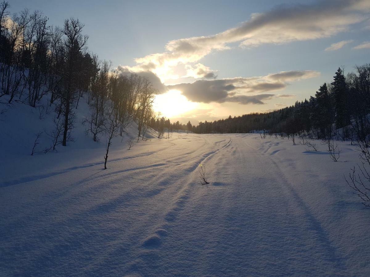 Malangen