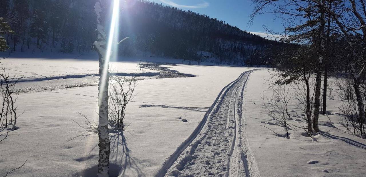 Malangen Holiday home *